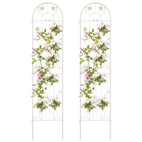 2 Pack 86.5 x 20 Inches Metal Garden Trellis for Climbing Plants