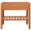 Planter 34.6"x16.9"x31.5" Firwood