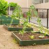 2 Pack 86.5 x 20 Inches Metal Garden Trellis for Climbing Plants